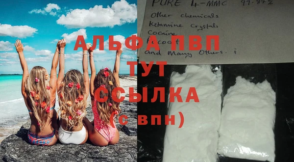 прущие грибы Володарск
