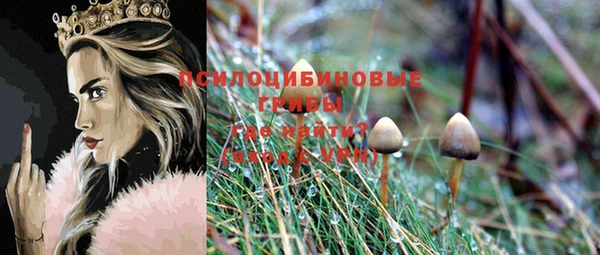 марихуана Вяземский