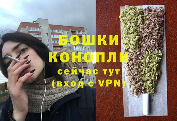 ECSTASY Вязьма