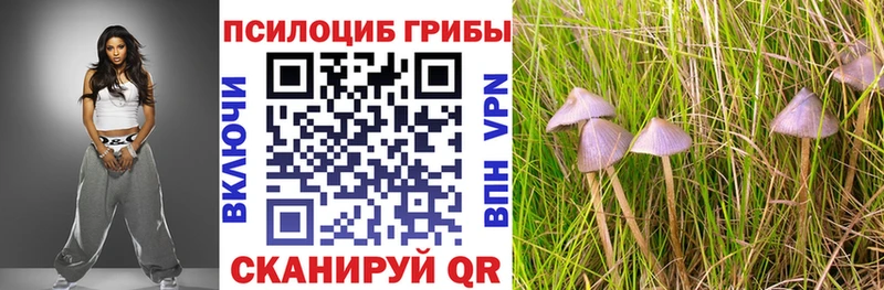 наркошоп  ссылка на мегу tor  Псилоцибиновые грибы мицелий  Пестово 